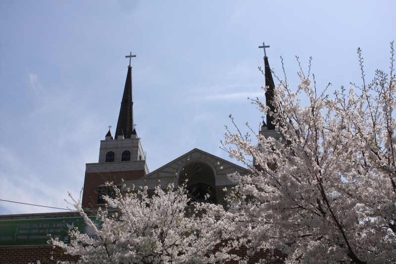 삼일교회 4월의 봄